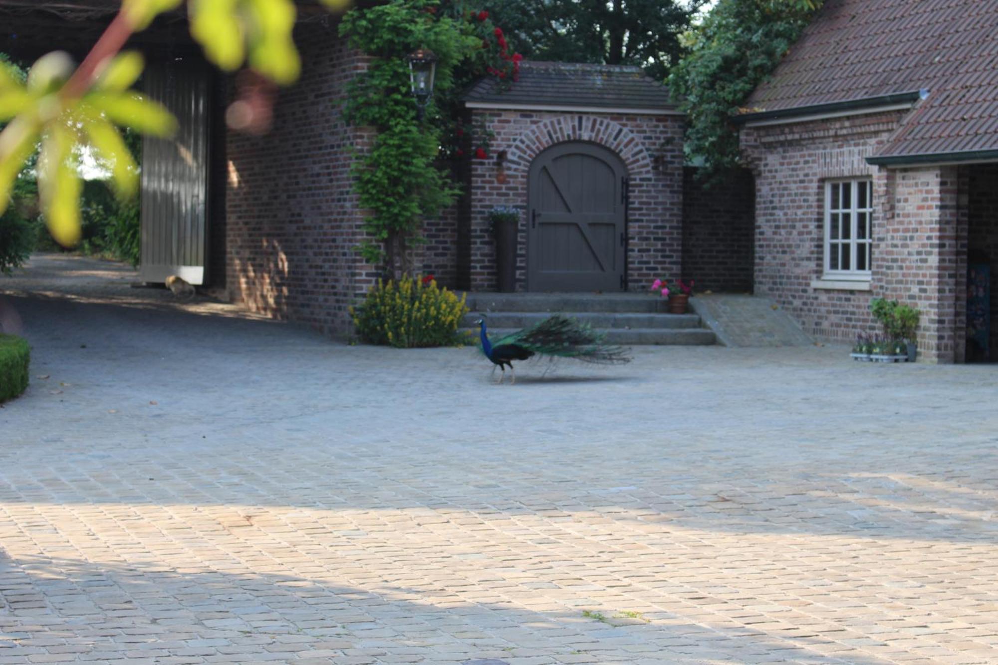 Imagine B&B Wortegem 외부 사진